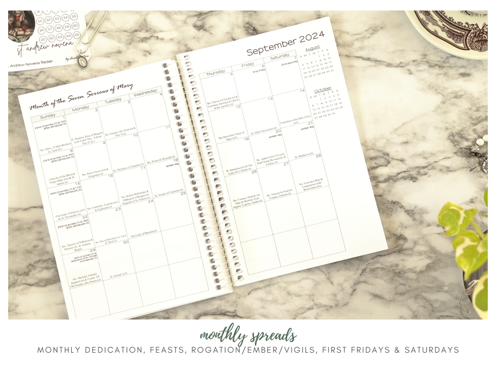 Jane's Agenda®  PRINTABLE: Passwords Planner Inserts